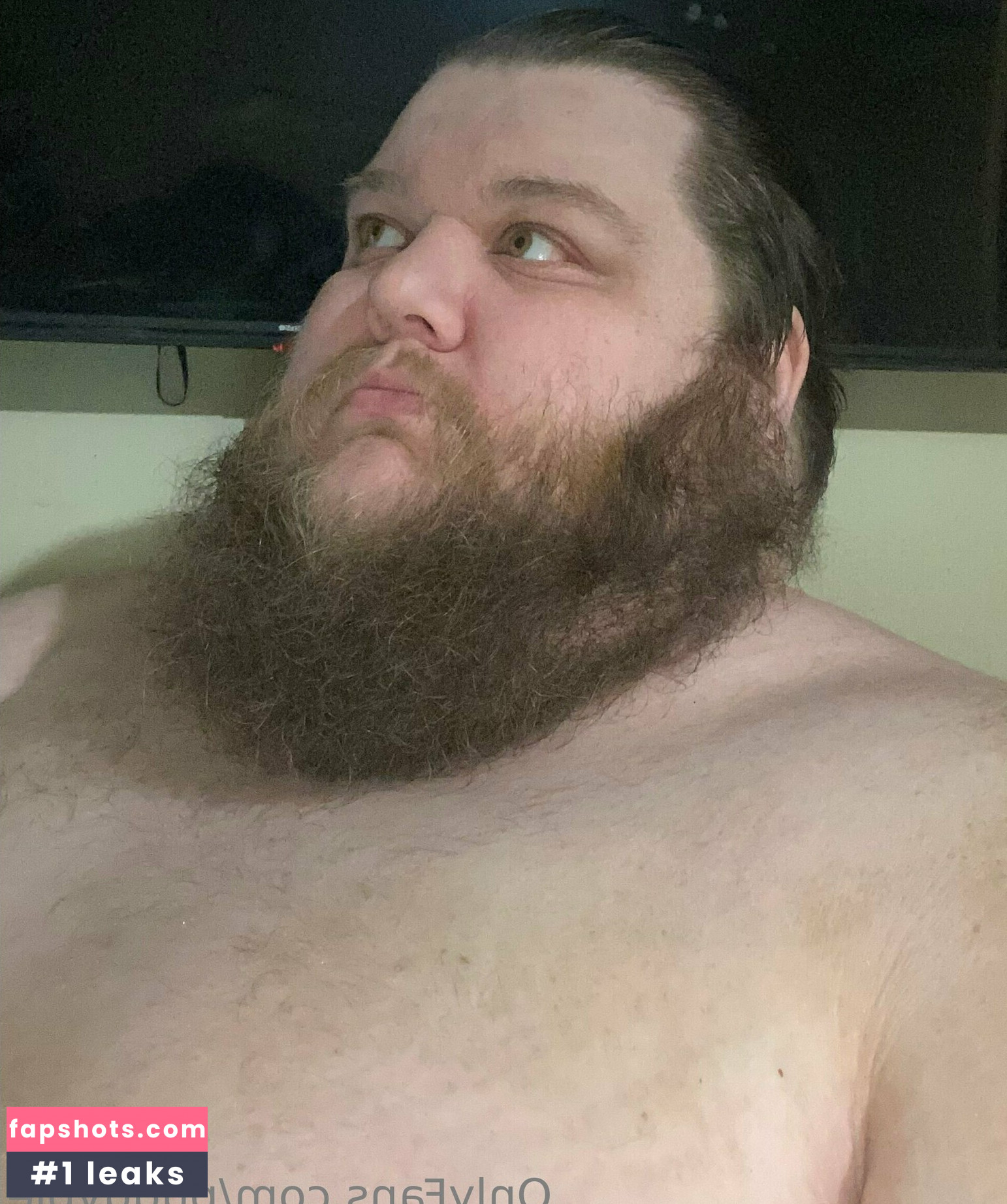 pudgypie gallery photo #7