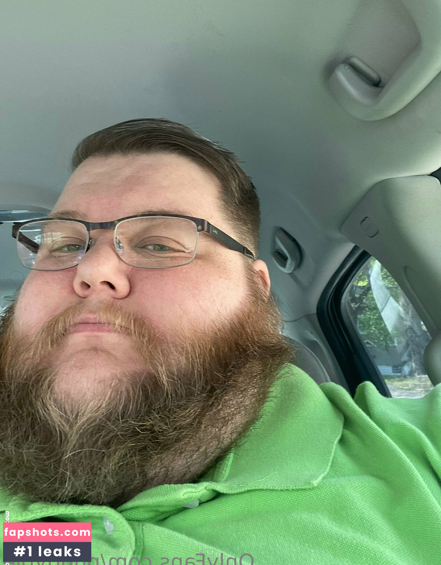 pudgypie gallery photo #8