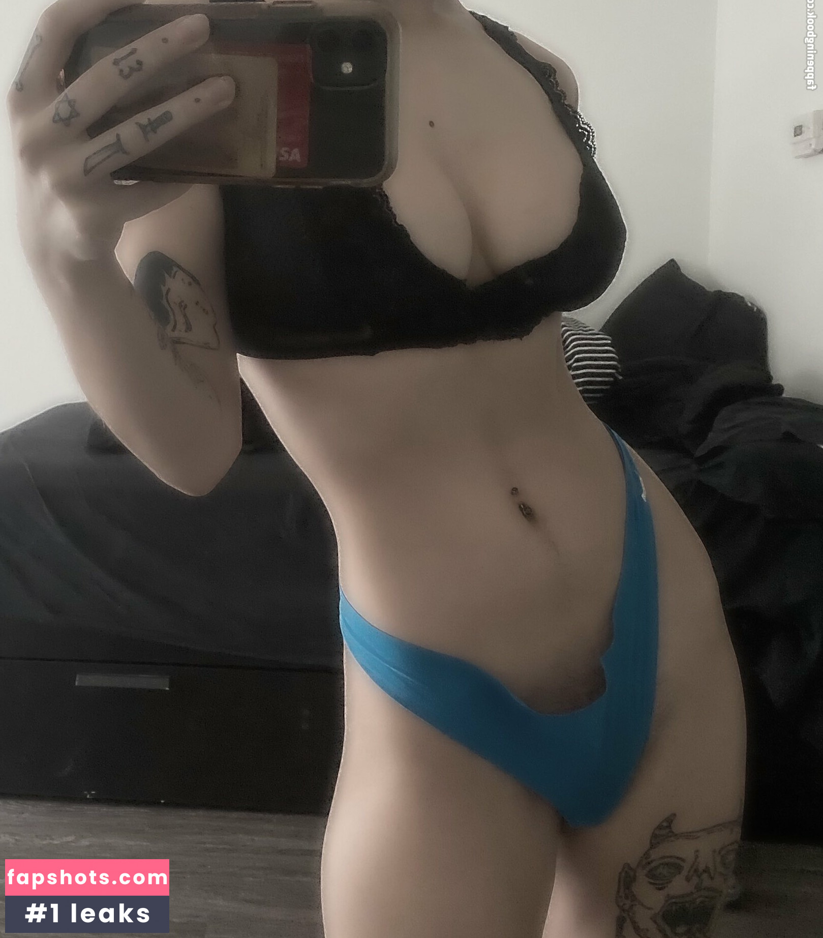 Pukekitty gallery photo #7