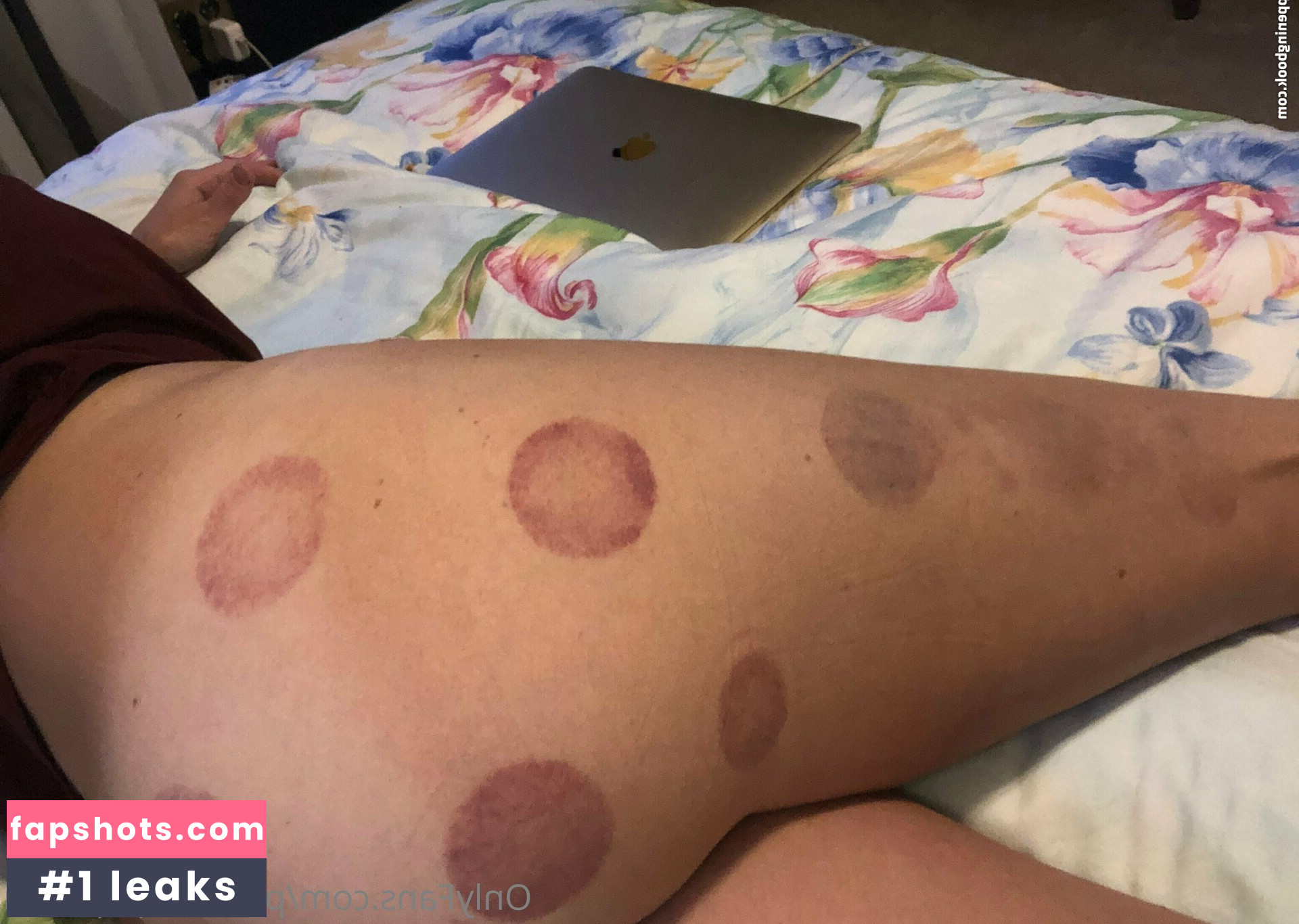 pulsifer_paprocki gallery photo #22