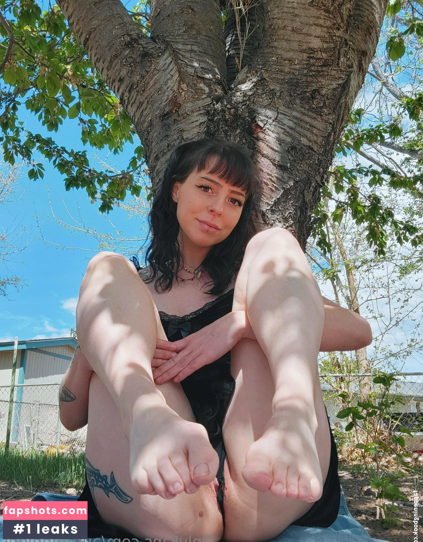 PunkBiBiBi gallery photo #9