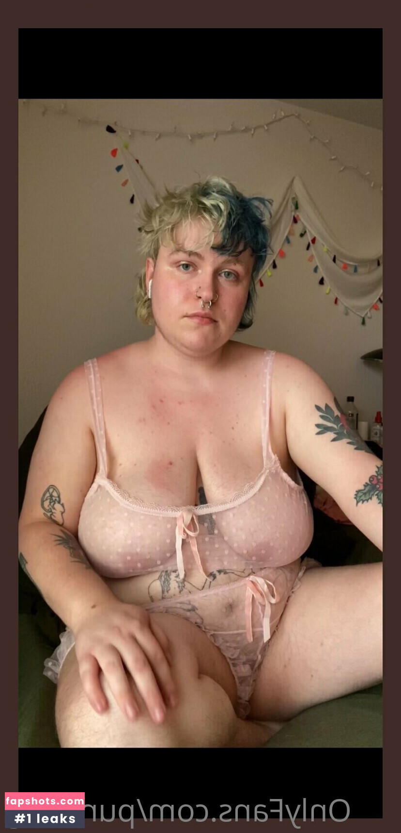 punkfrog gallery photo #2