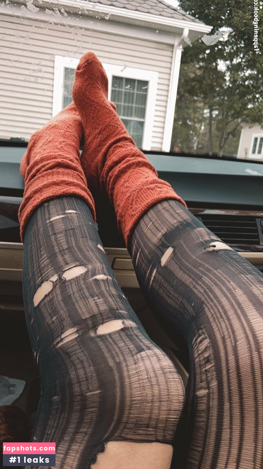 punkfrog gallery photo #12