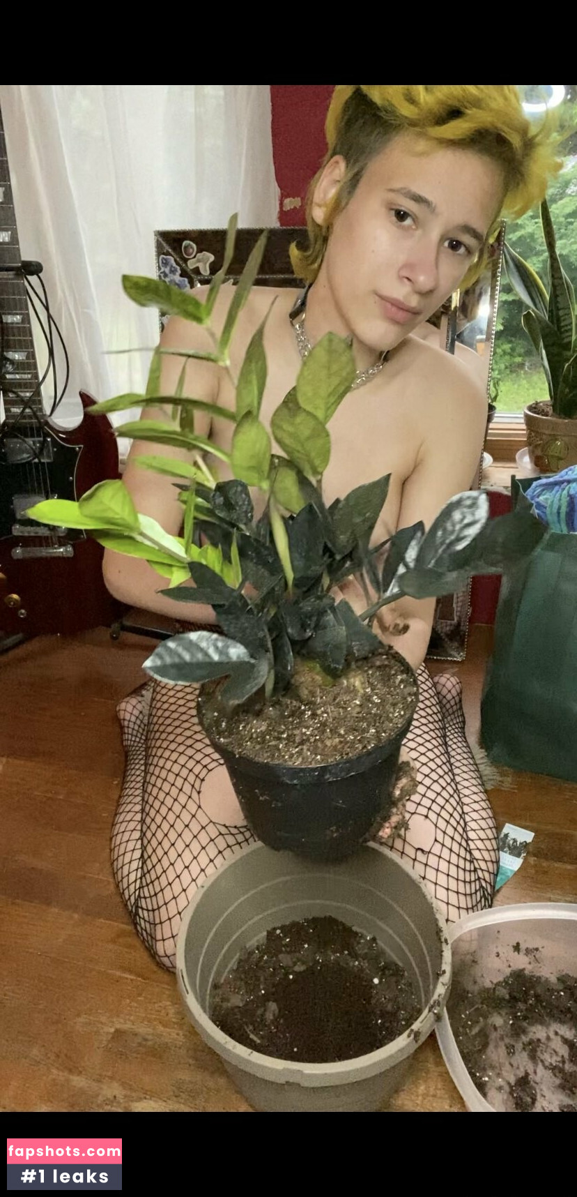 punkfrog gallery photo #7