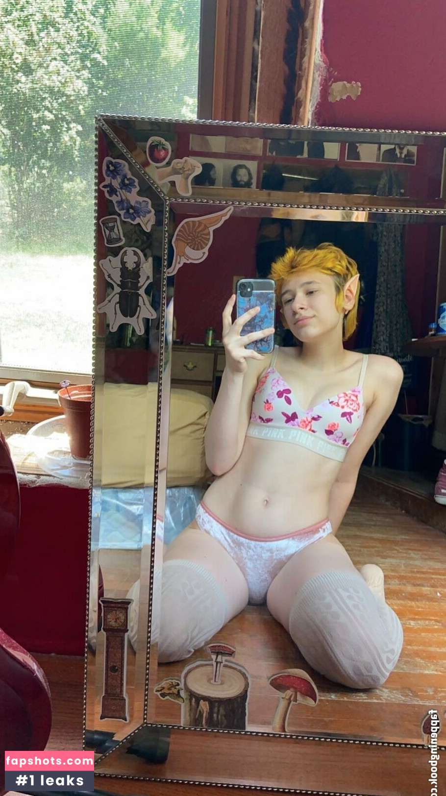 punkfrog gallery photo #9