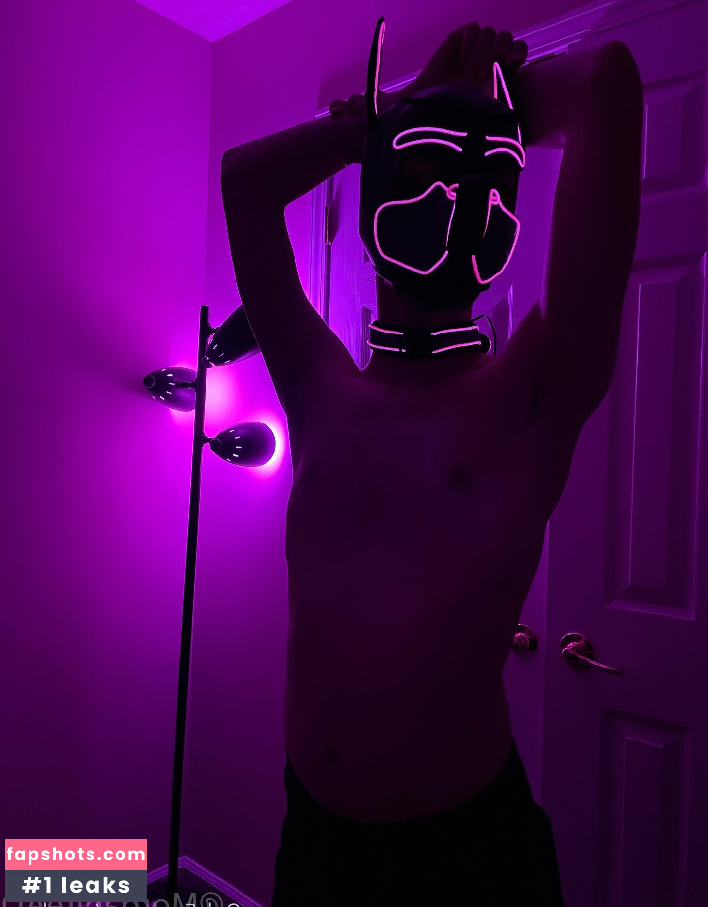 pup_haze gallery photo #2