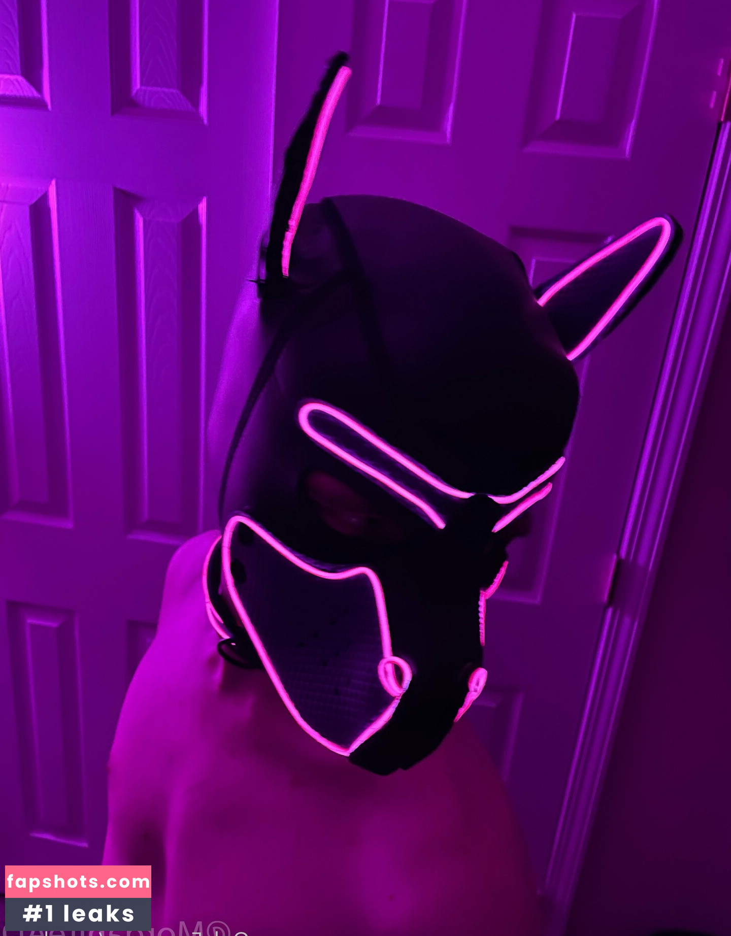 pup_haze gallery photo #7