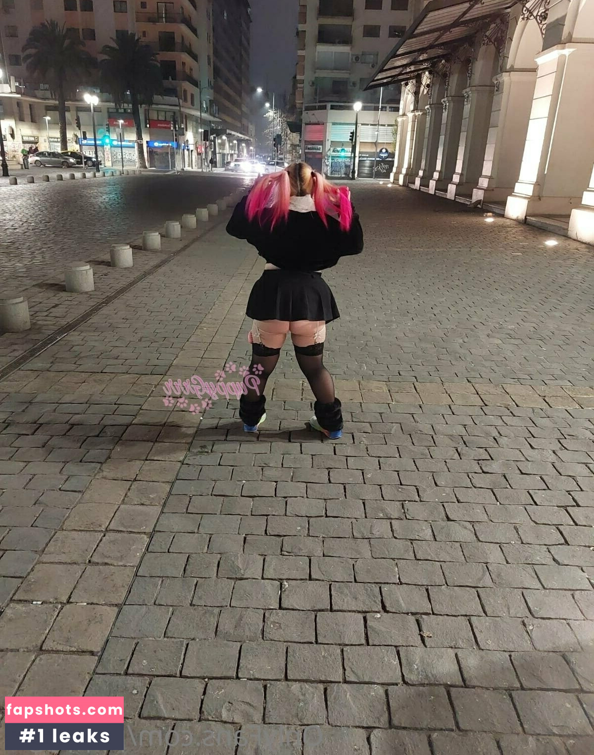 puppy.grrr gallery photo #12