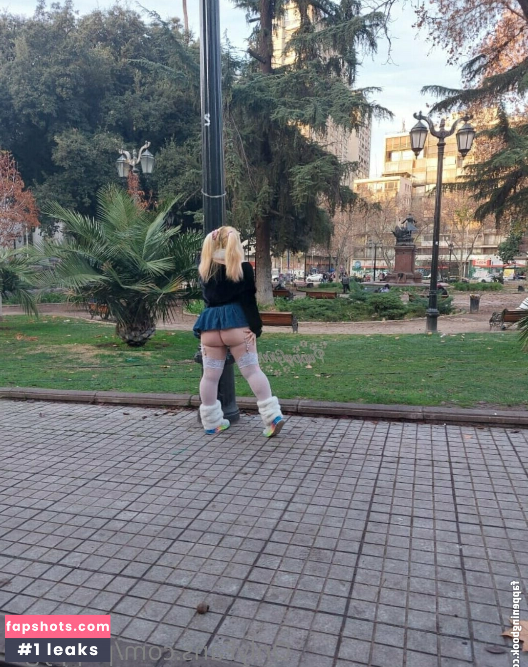 puppy.grrr gallery photo #14