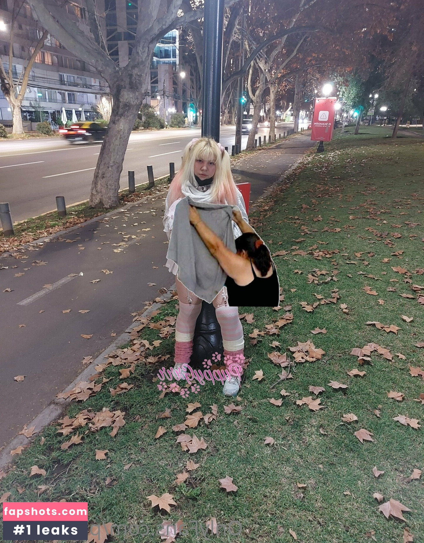 puppy.grrr gallery photo #18