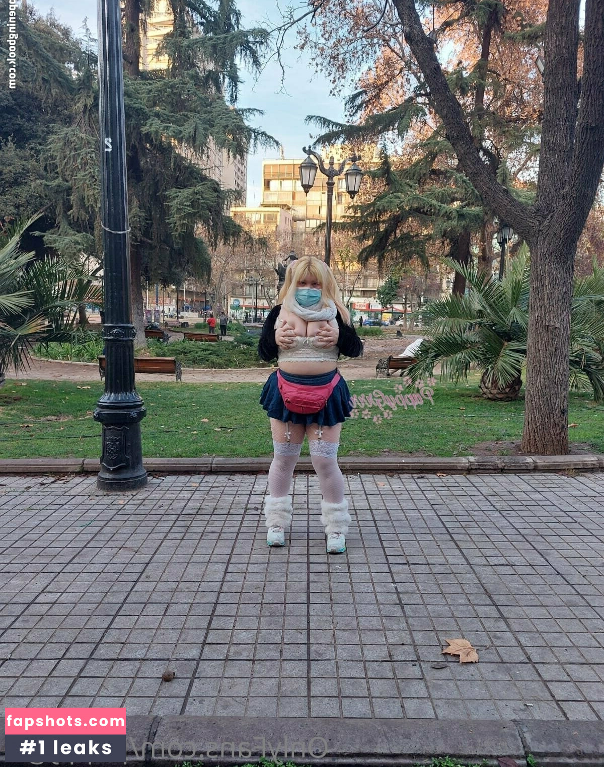 puppy.grrr gallery photo #19