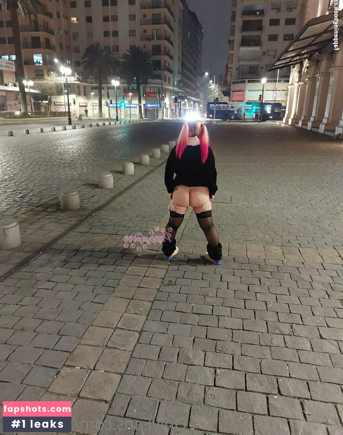 puppy.grrr gallery photo #20