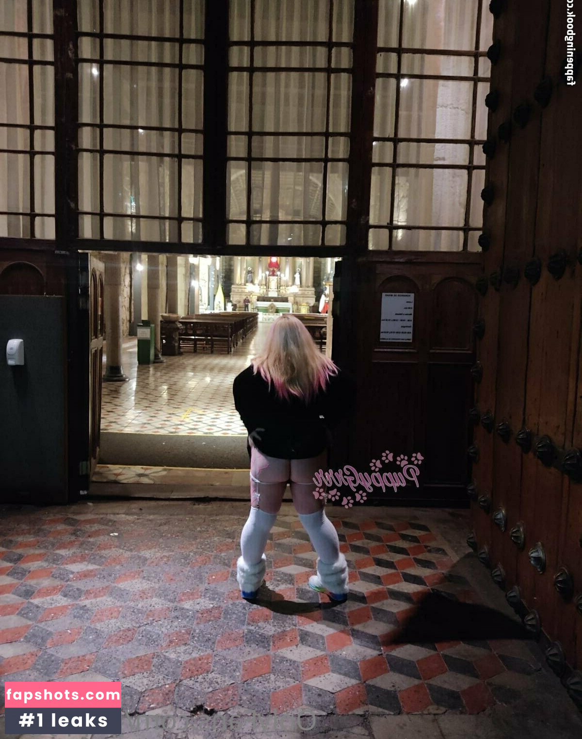 puppy.grrr gallery photo #3