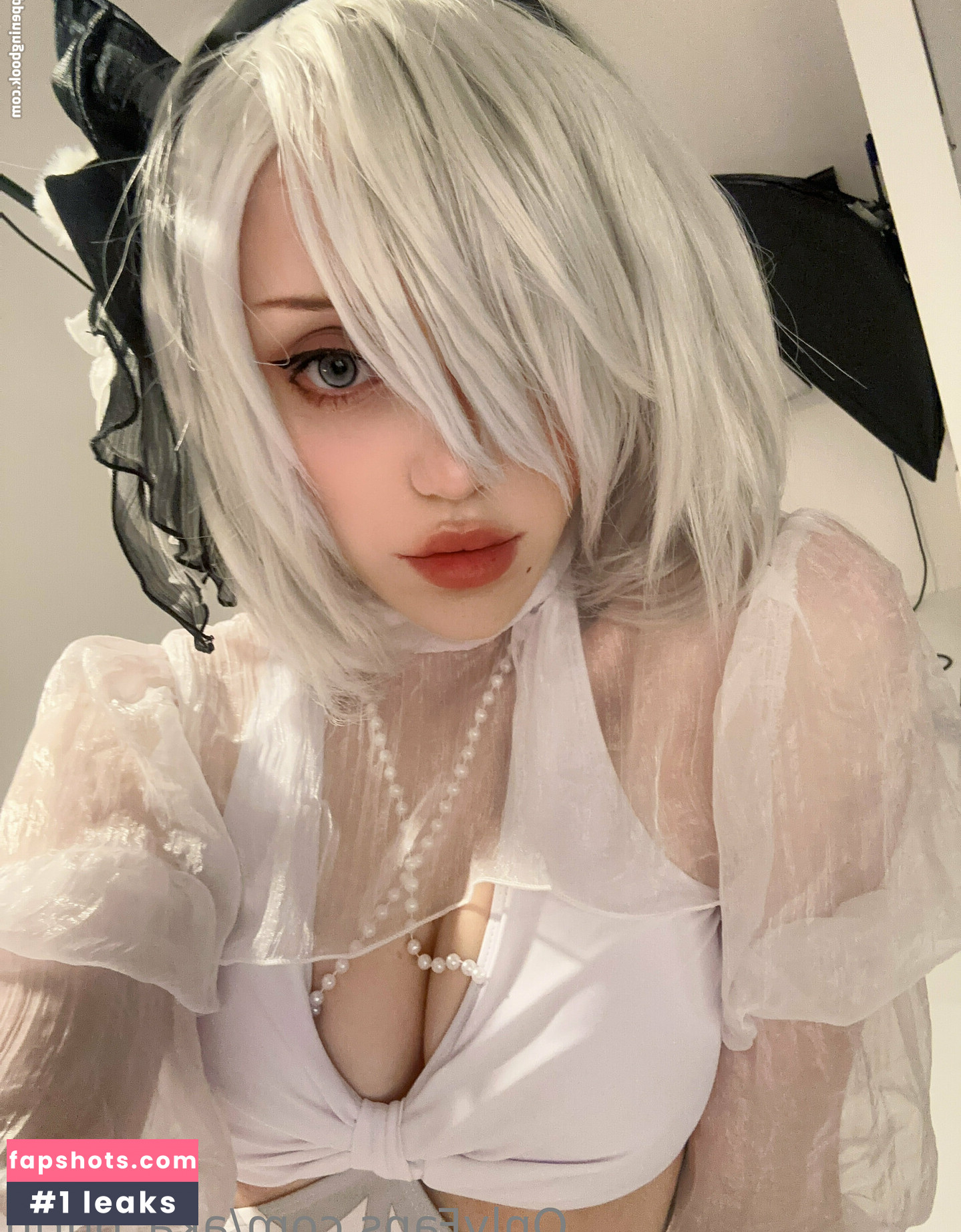 purin gallery photo #26