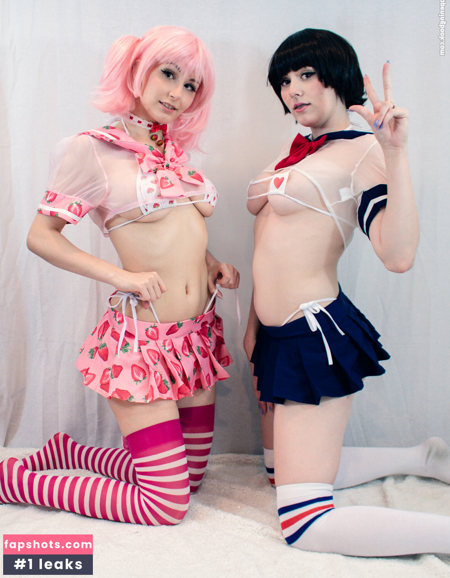 Purrblind gallery photo #101