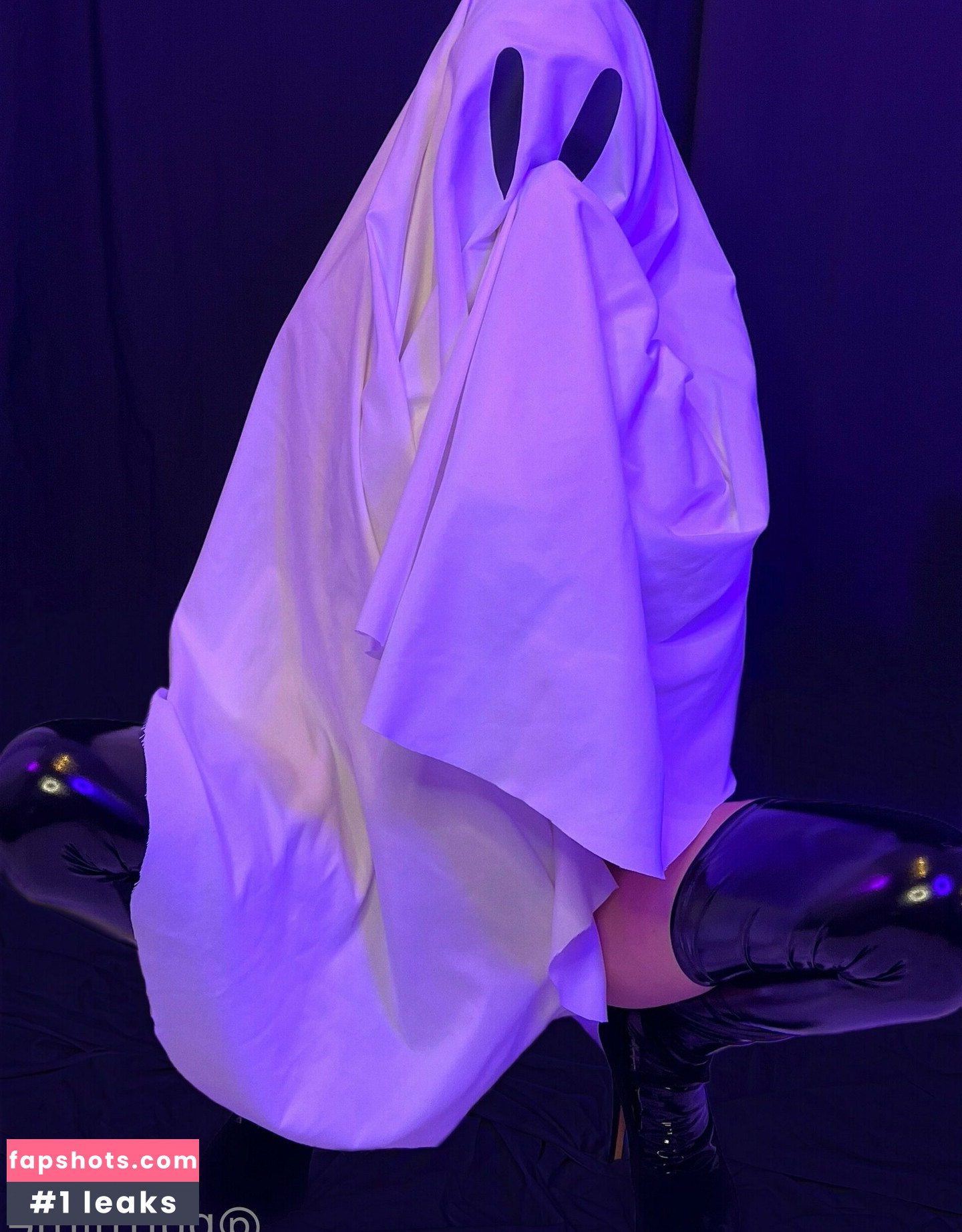 Purrblind gallery photo #153