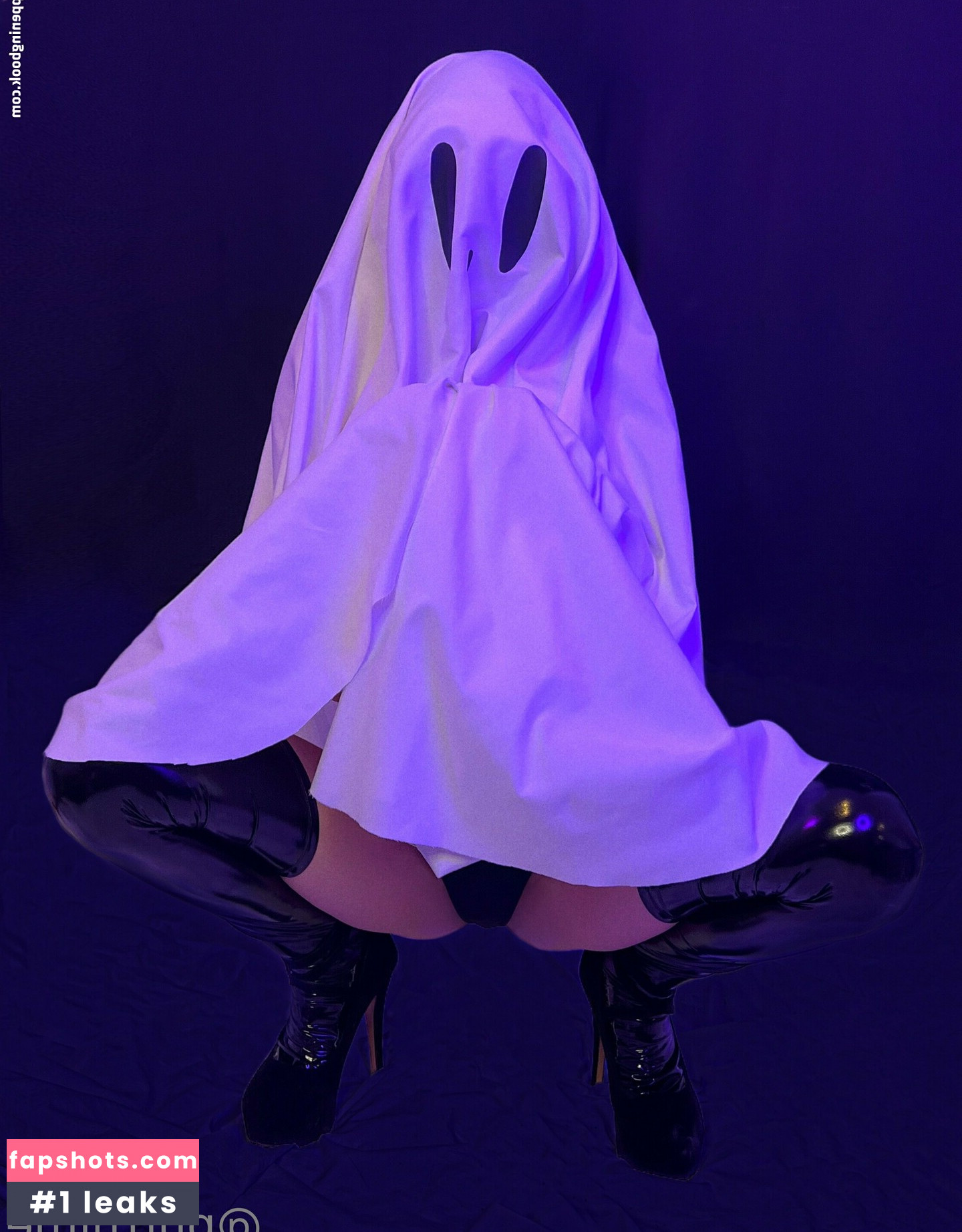 Purrblind gallery photo #158