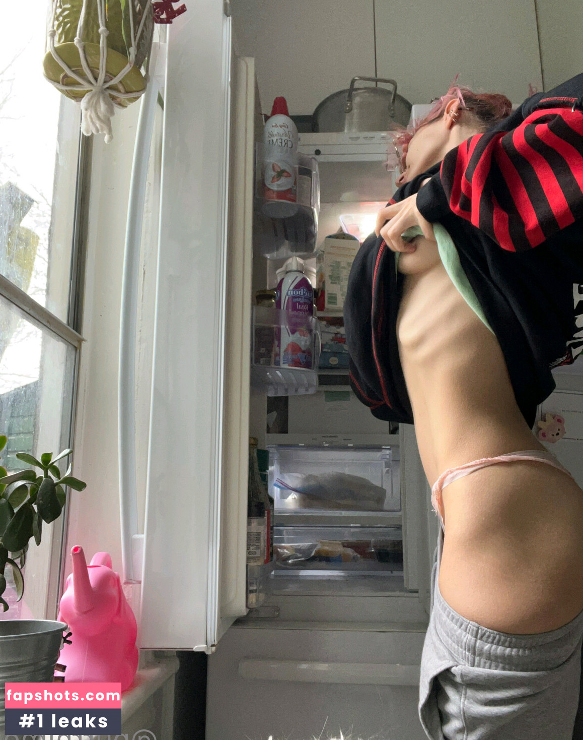 Purrblind gallery photo #56