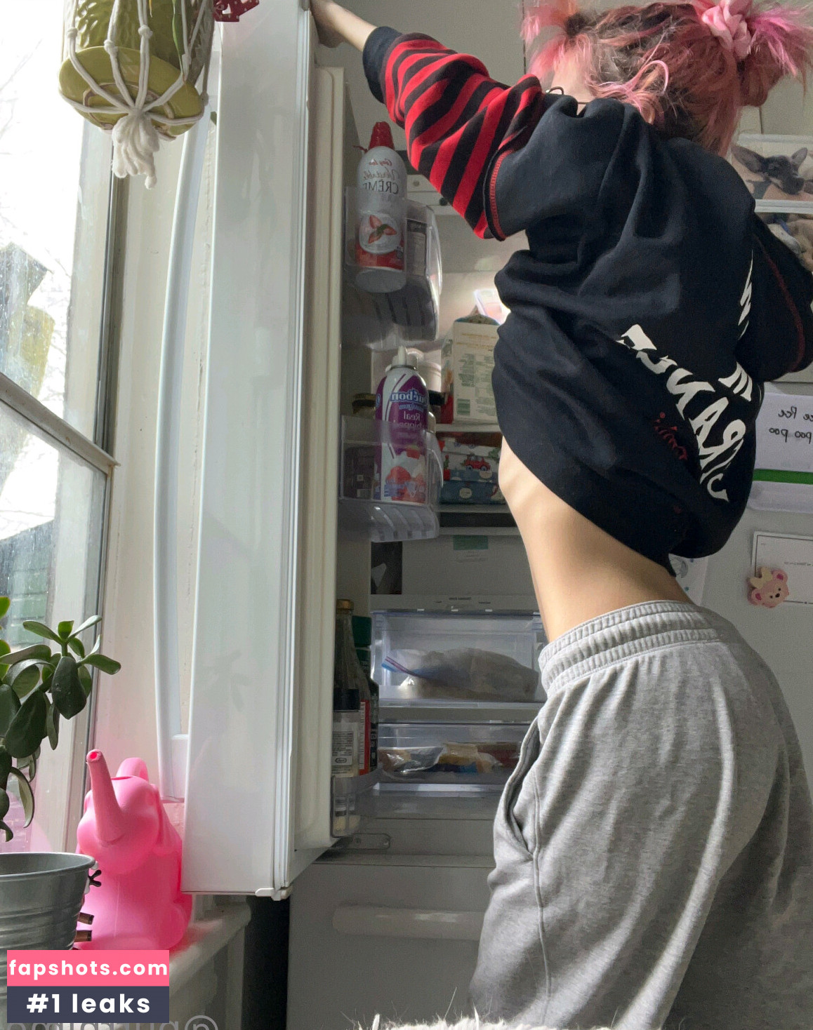 Purrblind gallery photo #61