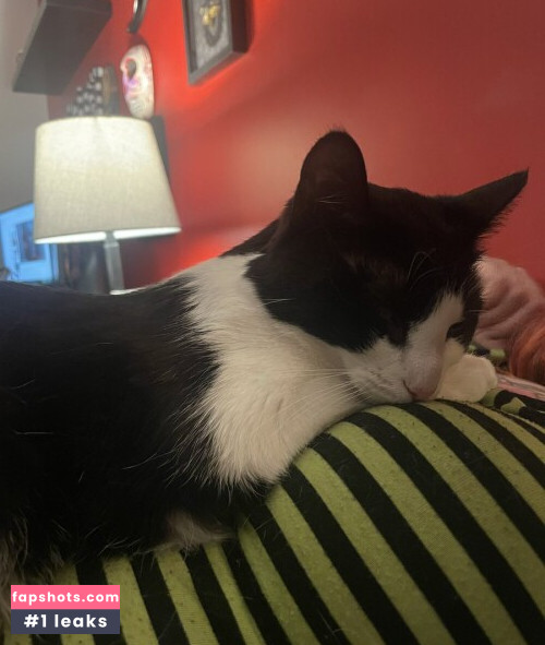 PushingUpRoses gallery photo #39