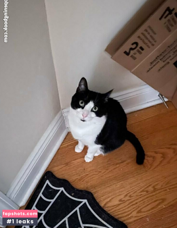 PushingUpRoses gallery photo #198