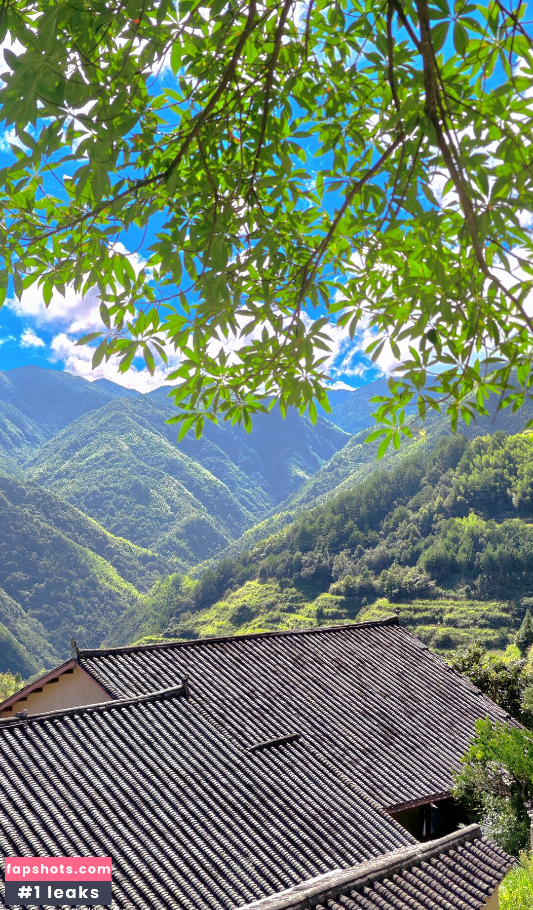 QiaoniuTT gallery photo #97