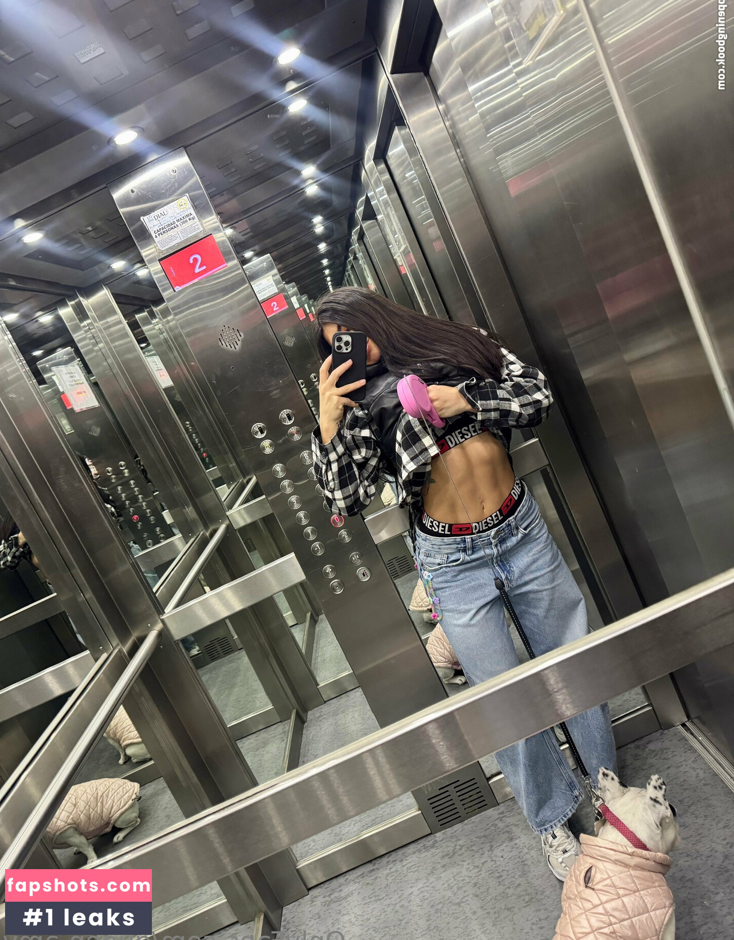 queen.amy gallery photo #11