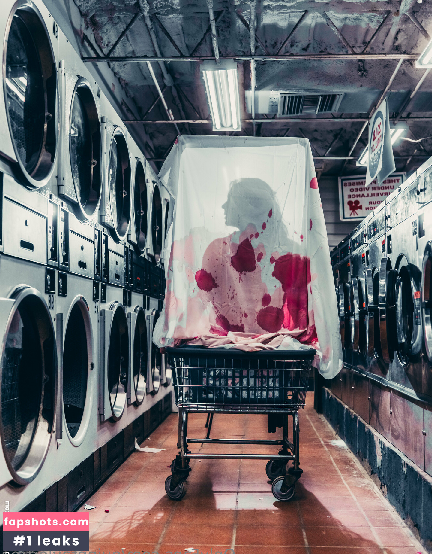 quinntaylorfree gallery photo #7