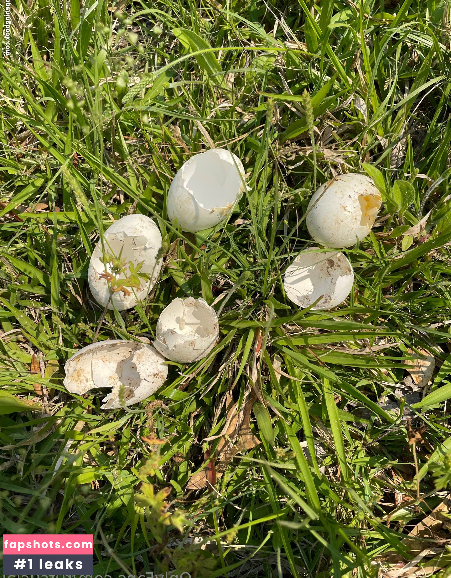 r0ts0cial gallery photo #12