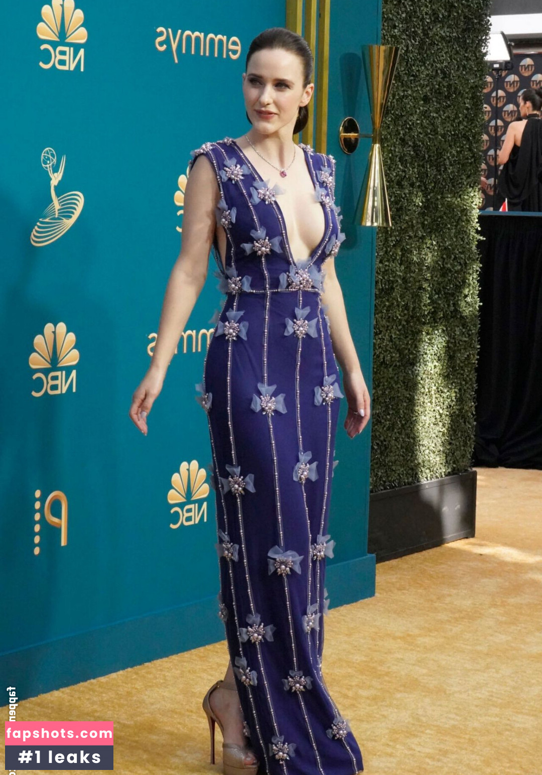 Rachel Brosnahan gallery photo #184