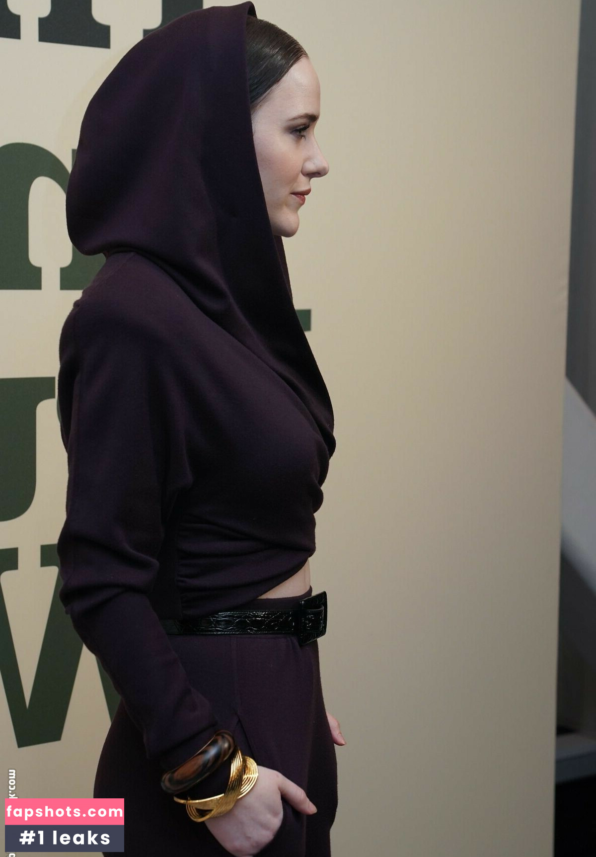 Rachel Brosnahan gallery photo #297