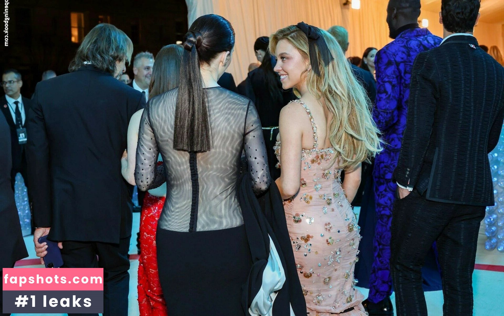 Rachel Brosnahan gallery photo #305