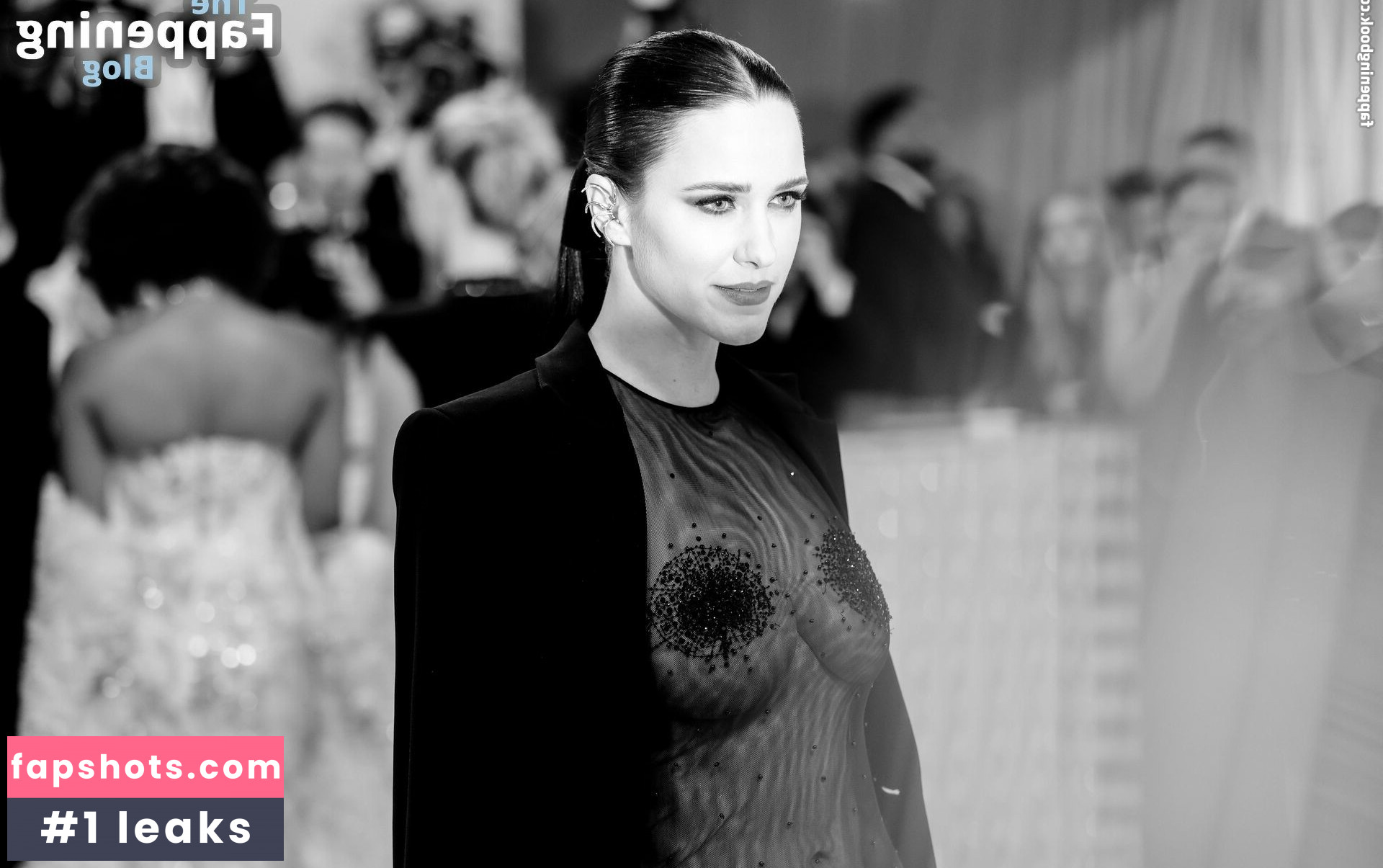 Rachel Brosnahan gallery photo #318