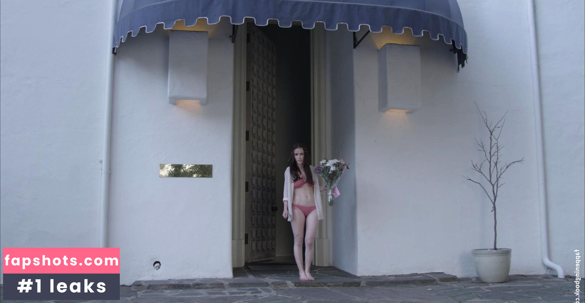 Rachel Brosnahan gallery photo #523