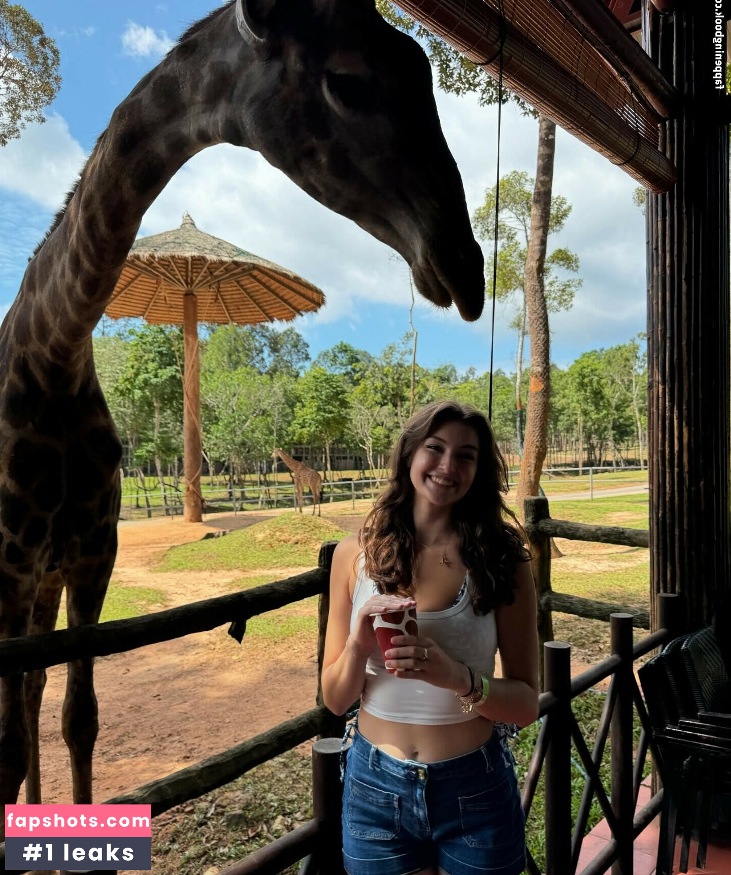 Rachel Michelle gallery photo #121