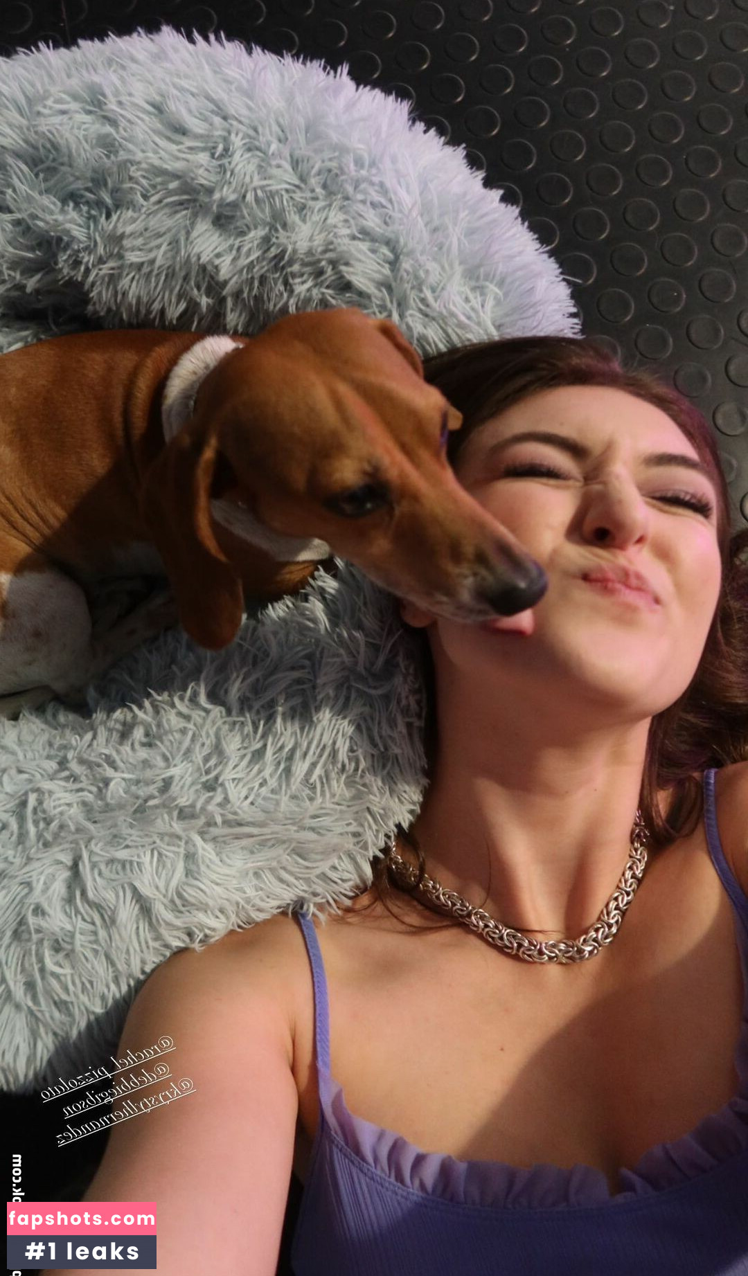 Rachel Michelle gallery photo #411