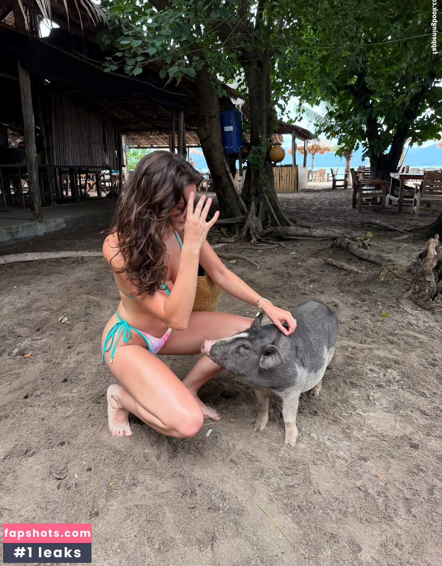 Rachel Michelle gallery photo #45