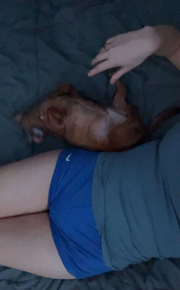 rachel-michelle gallery photo #2934