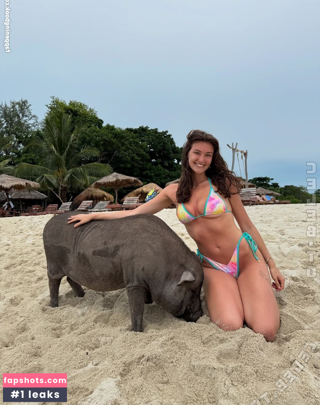 Rachel Pizzolato gallery photo #5