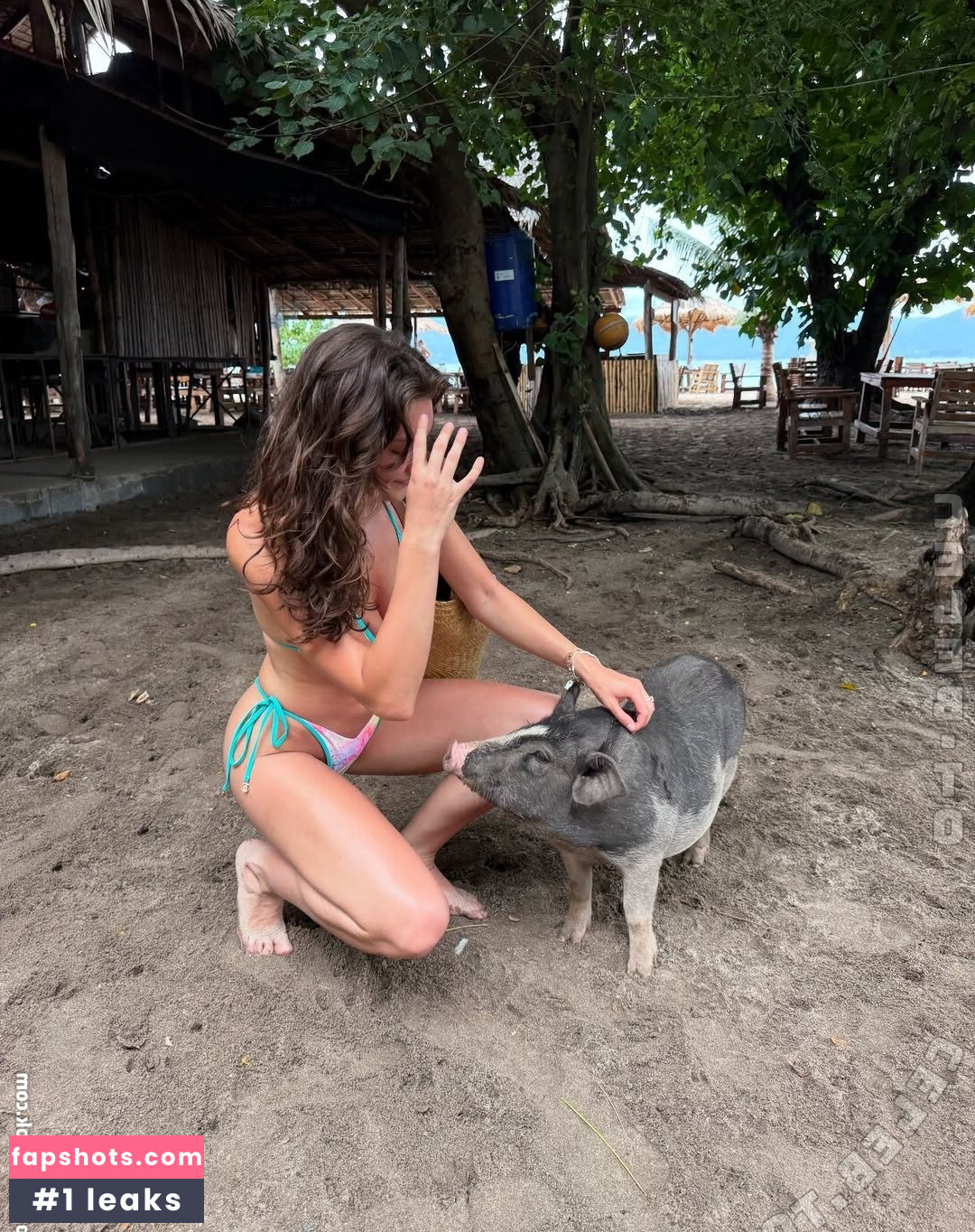 Rachel Pizzolato gallery photo #10