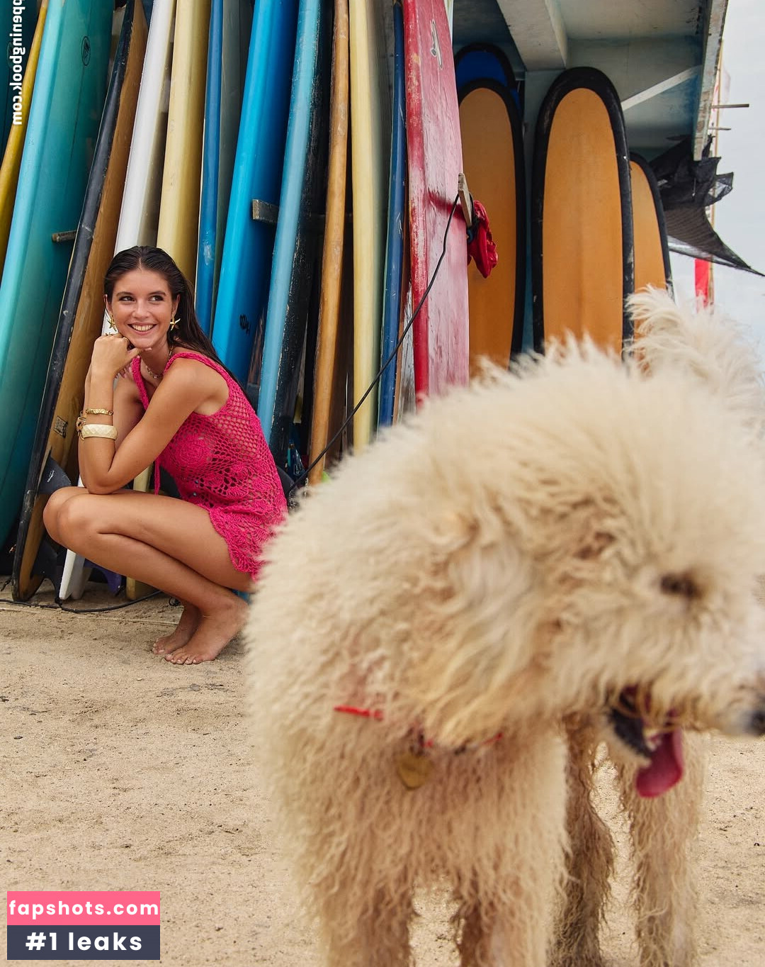 Rachelle Van Waardhuizen gallery photo #227