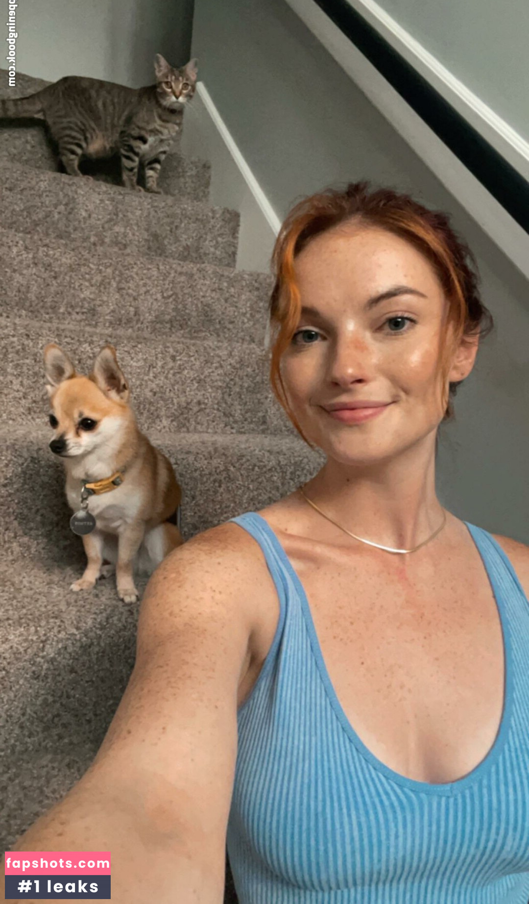 rangothepango gallery photo #2