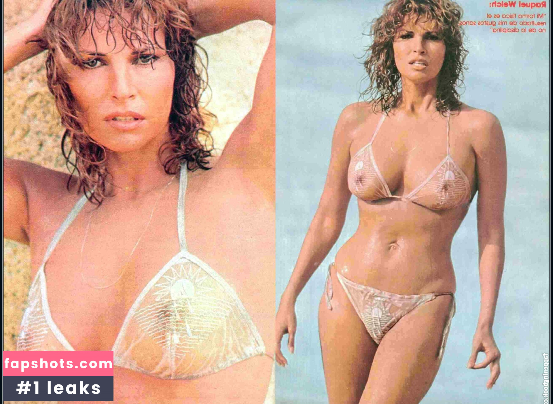 Raquel Welch Nacktheit OnlyFans Fotos #13 - Fapshots