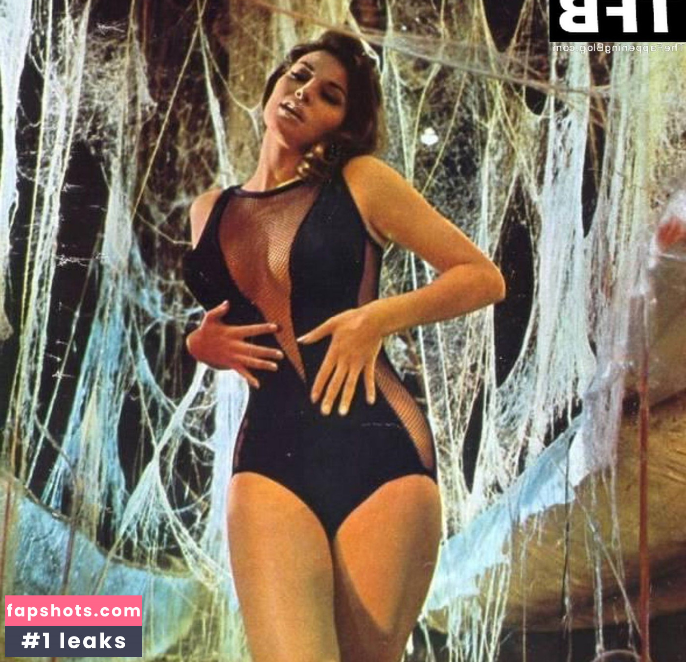 Raquel Welch Nacktheit OnlyFans Fotos #19 - Fapshots