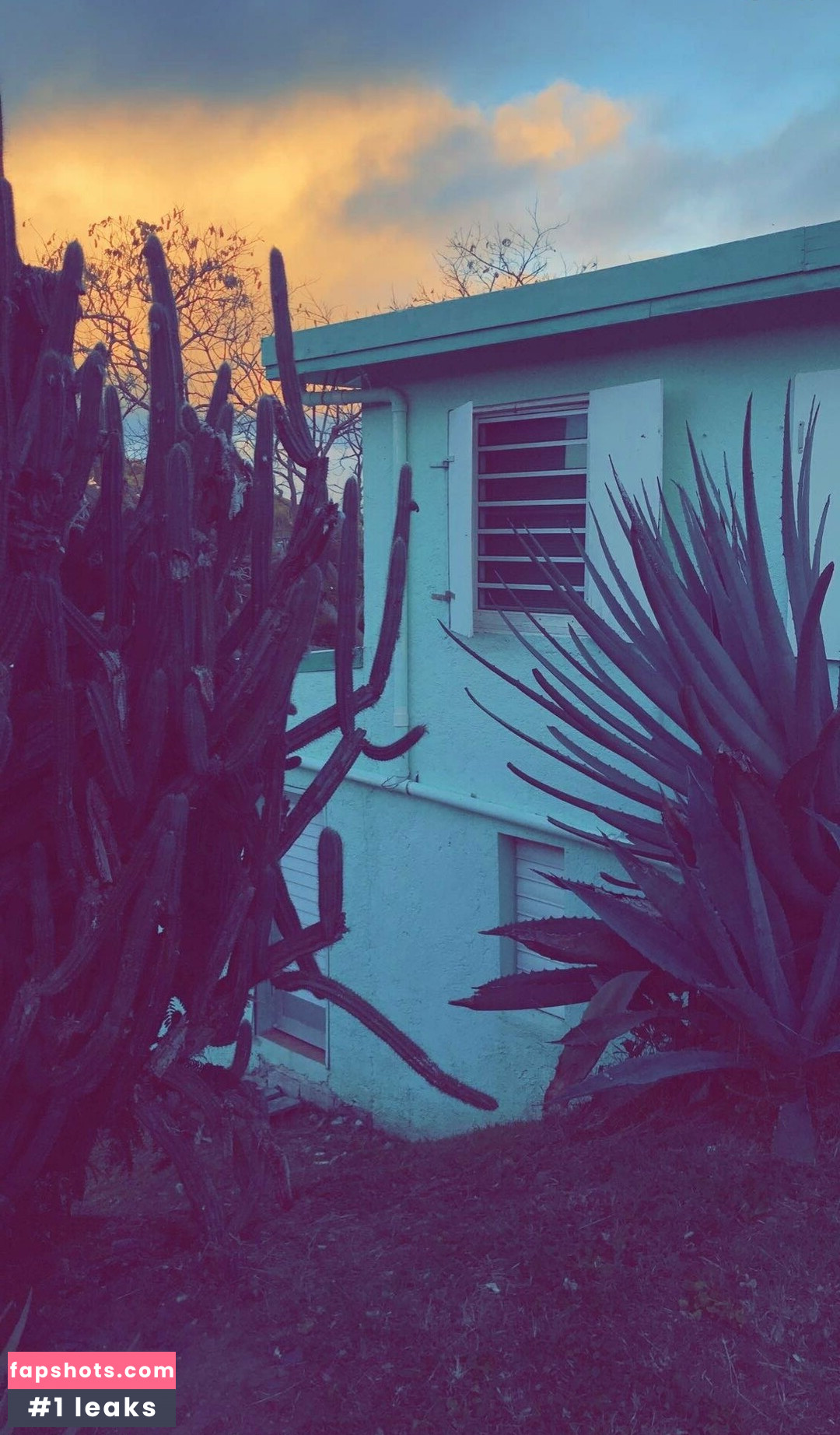 ravenhex3 gallery photo #5