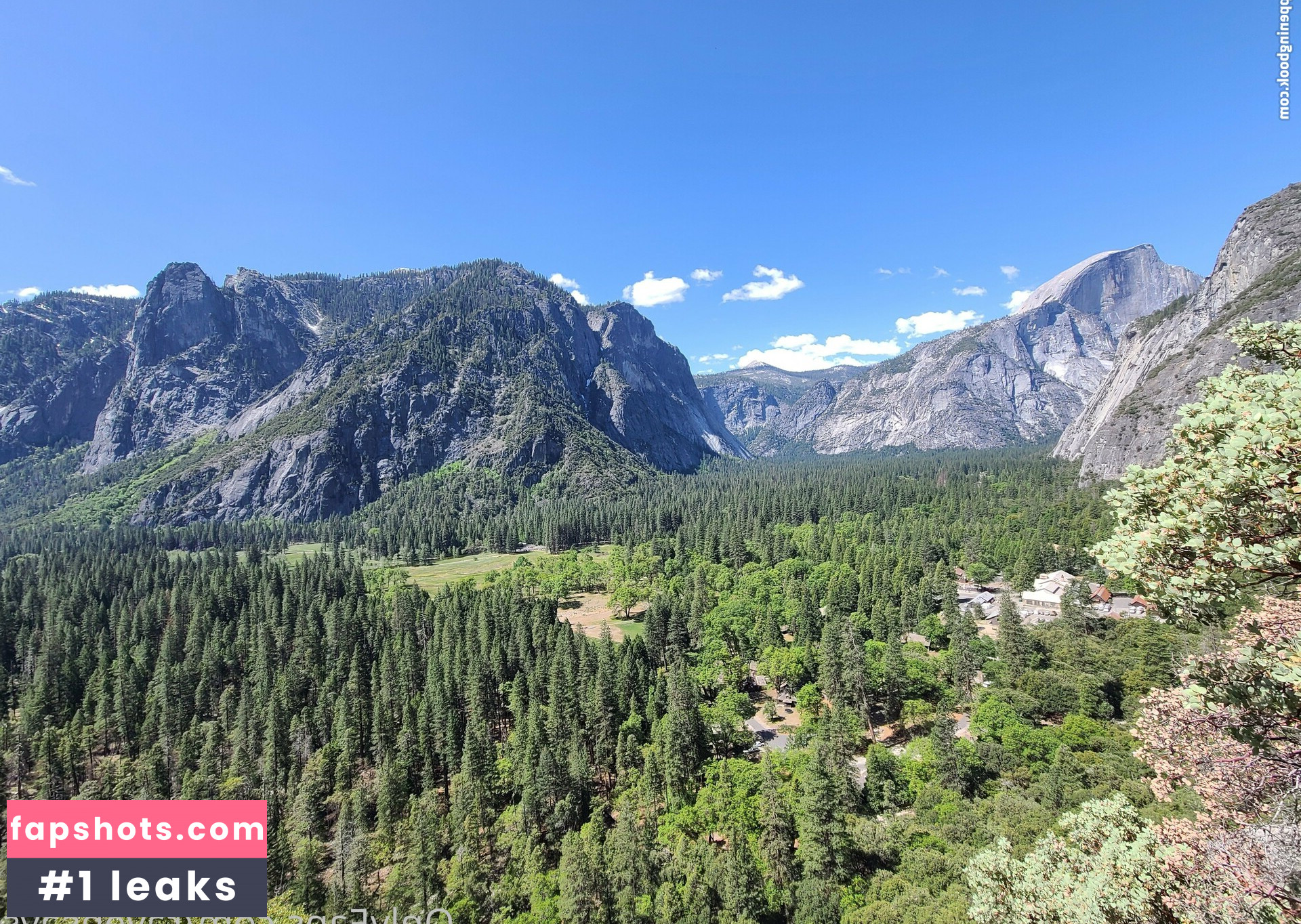 ravensays gallery photo #8