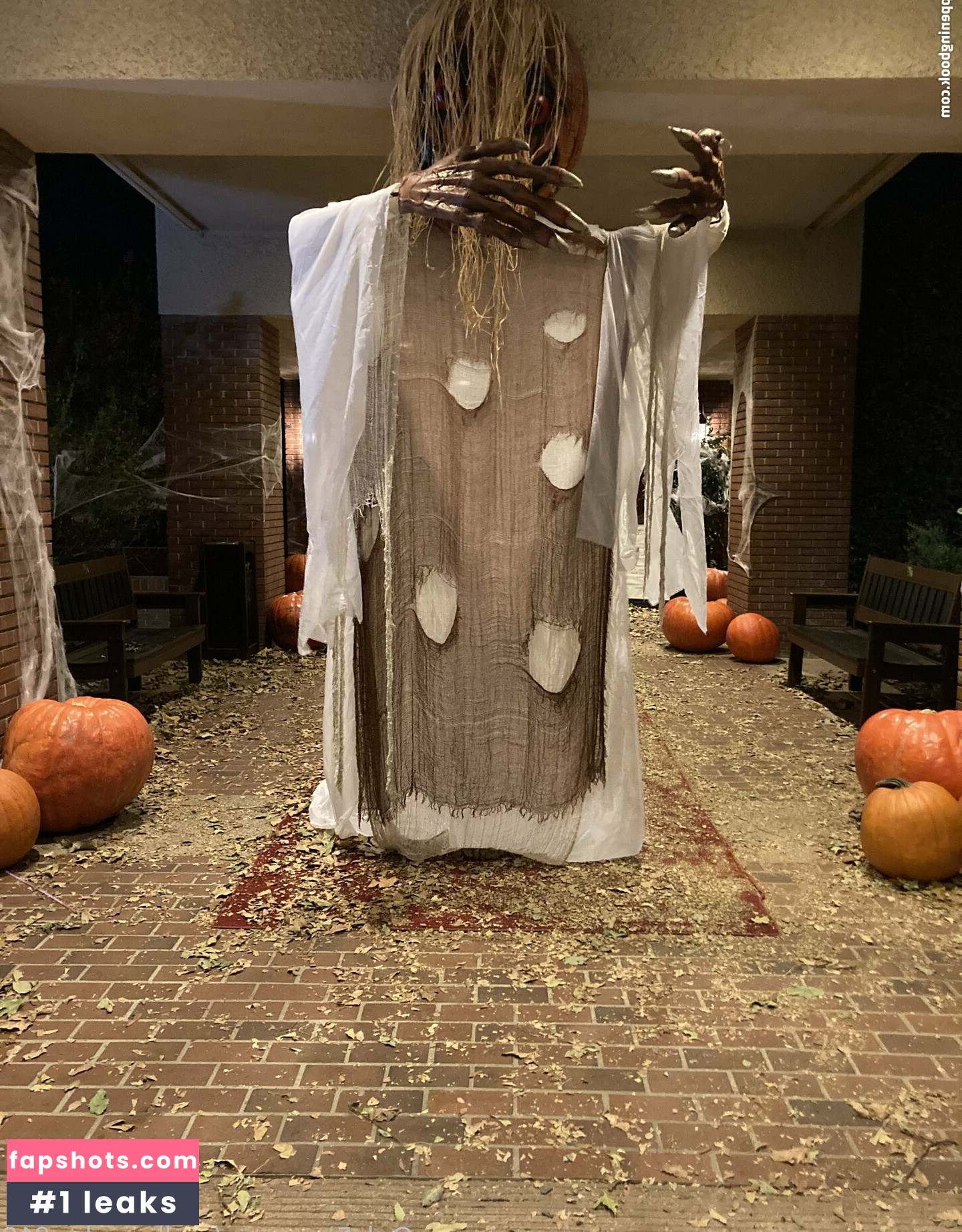 realbrandon818 Nacktheit OnlyFans Fotos #10 - Fapshots