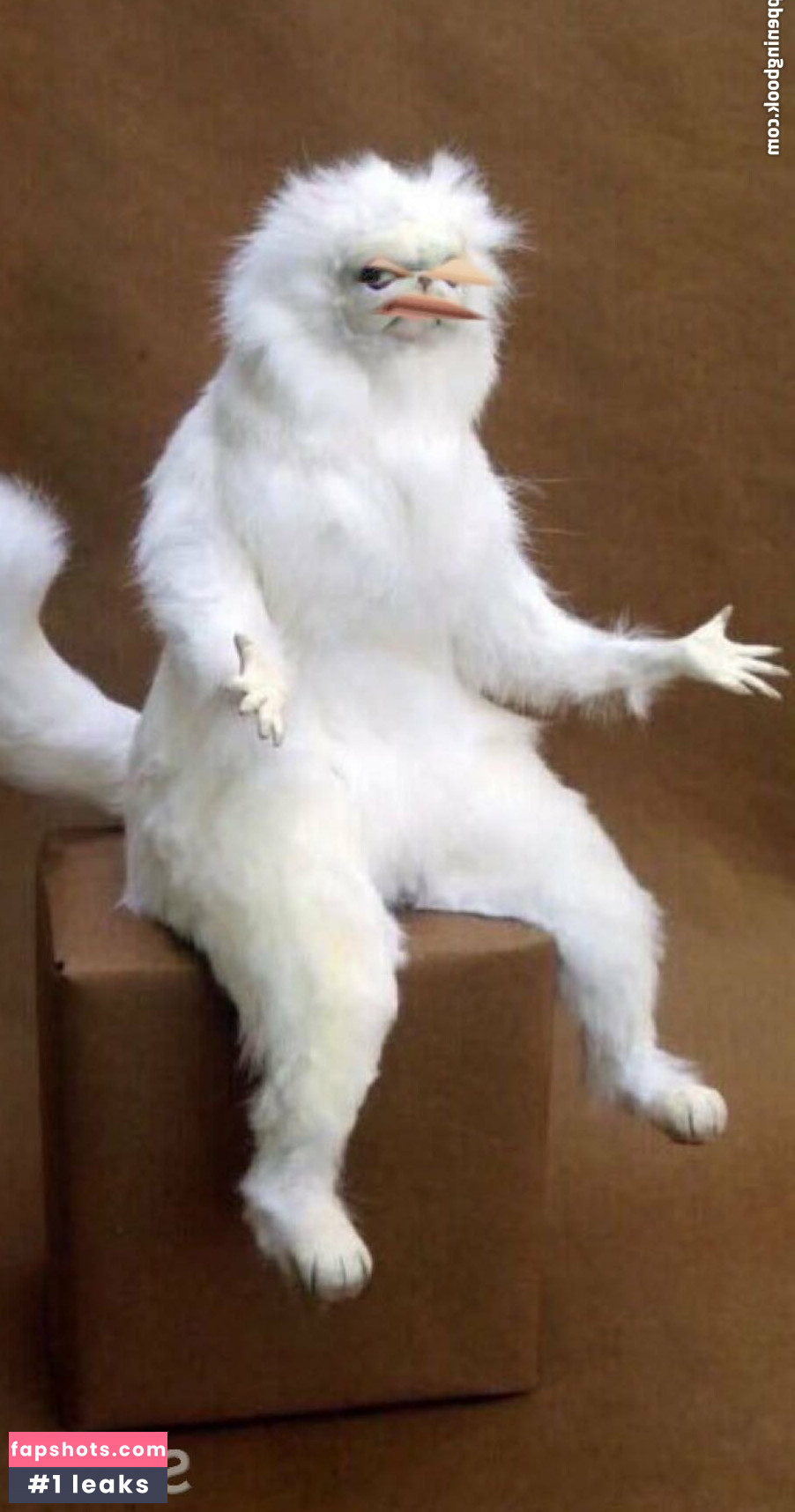 realcanadaali gallery photo #8