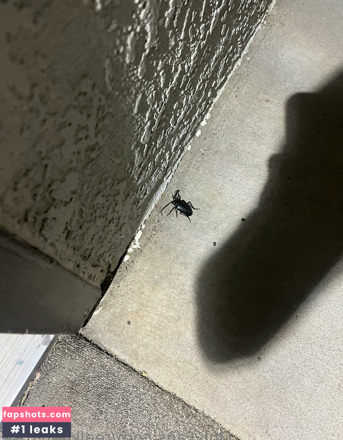 realkeelyrose gallery photo #19