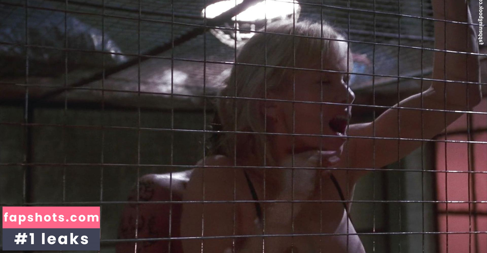 Rebecca De Mornay gallery photo #46